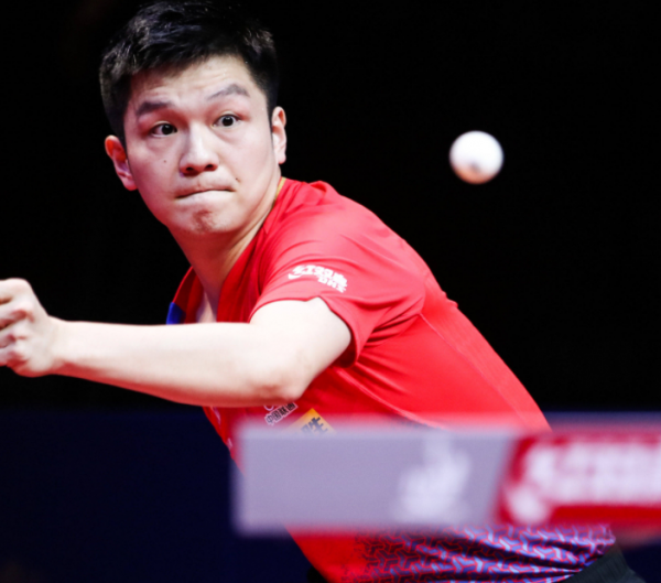 表现回应了 表现回应了