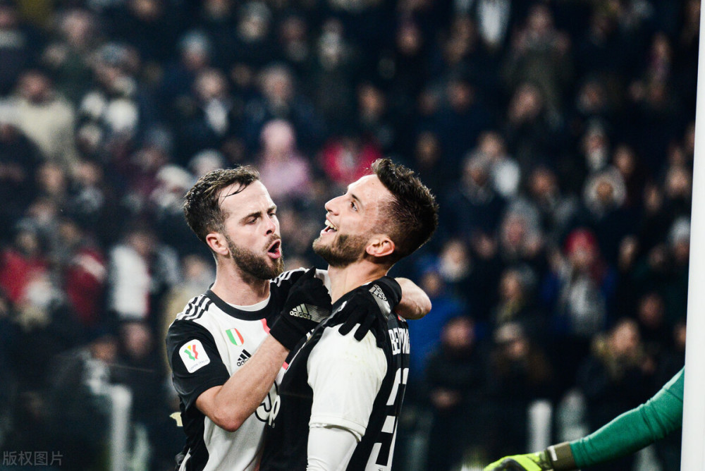 最生动的体 最生动的体